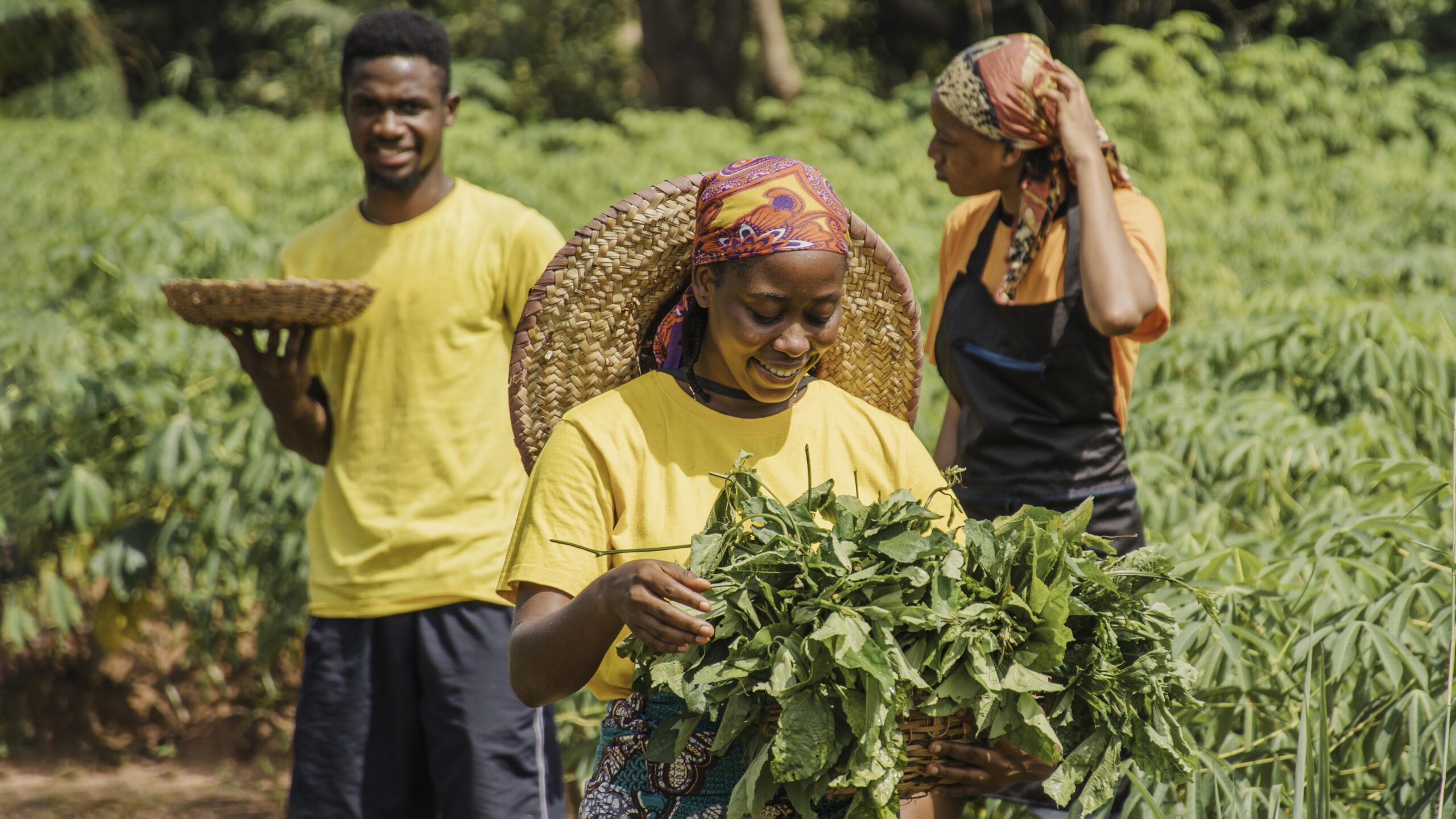 Visite et etude de la terre cultivable