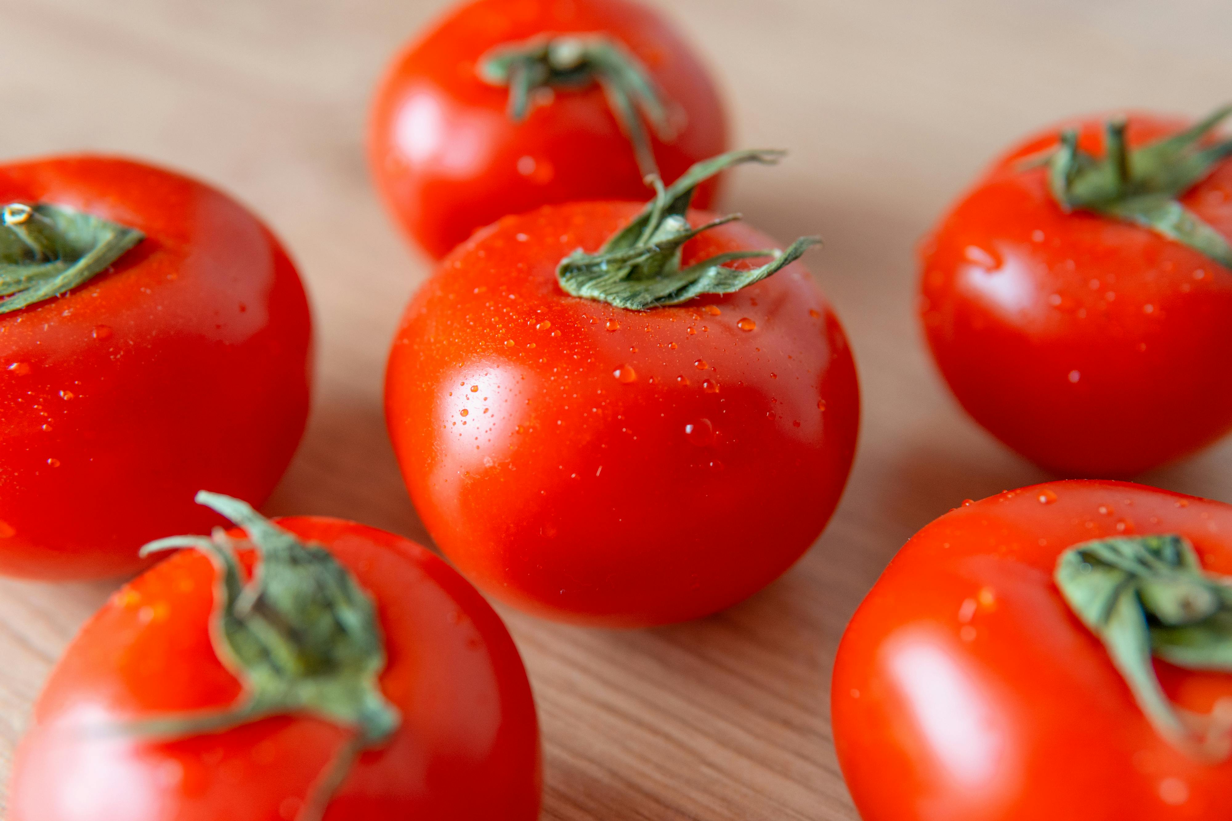 Tomates Bio